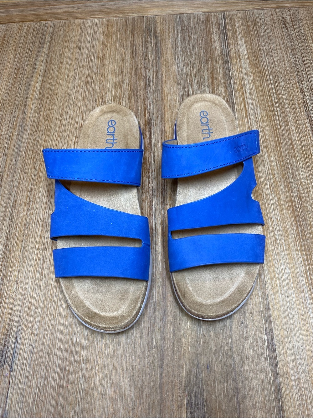 Earth Royal Blue Triple-Strap Slide Sandals